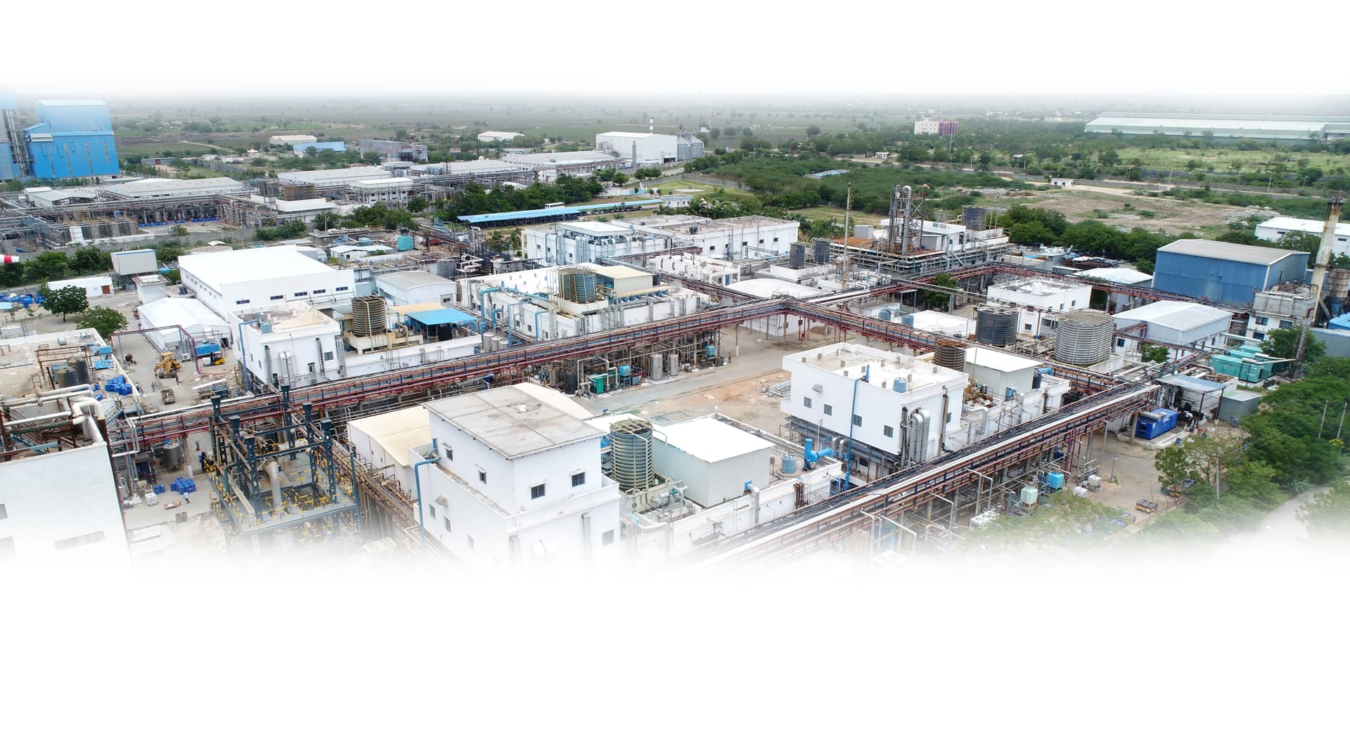 Chemical Development & Manufacturing